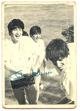 beatles still swimming