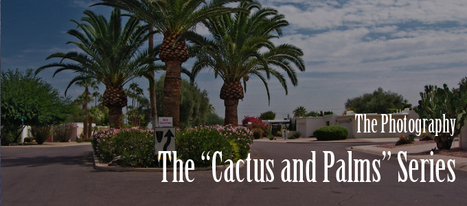 Cactus and Palms, Railroad Park, Scottsdale, Arizona